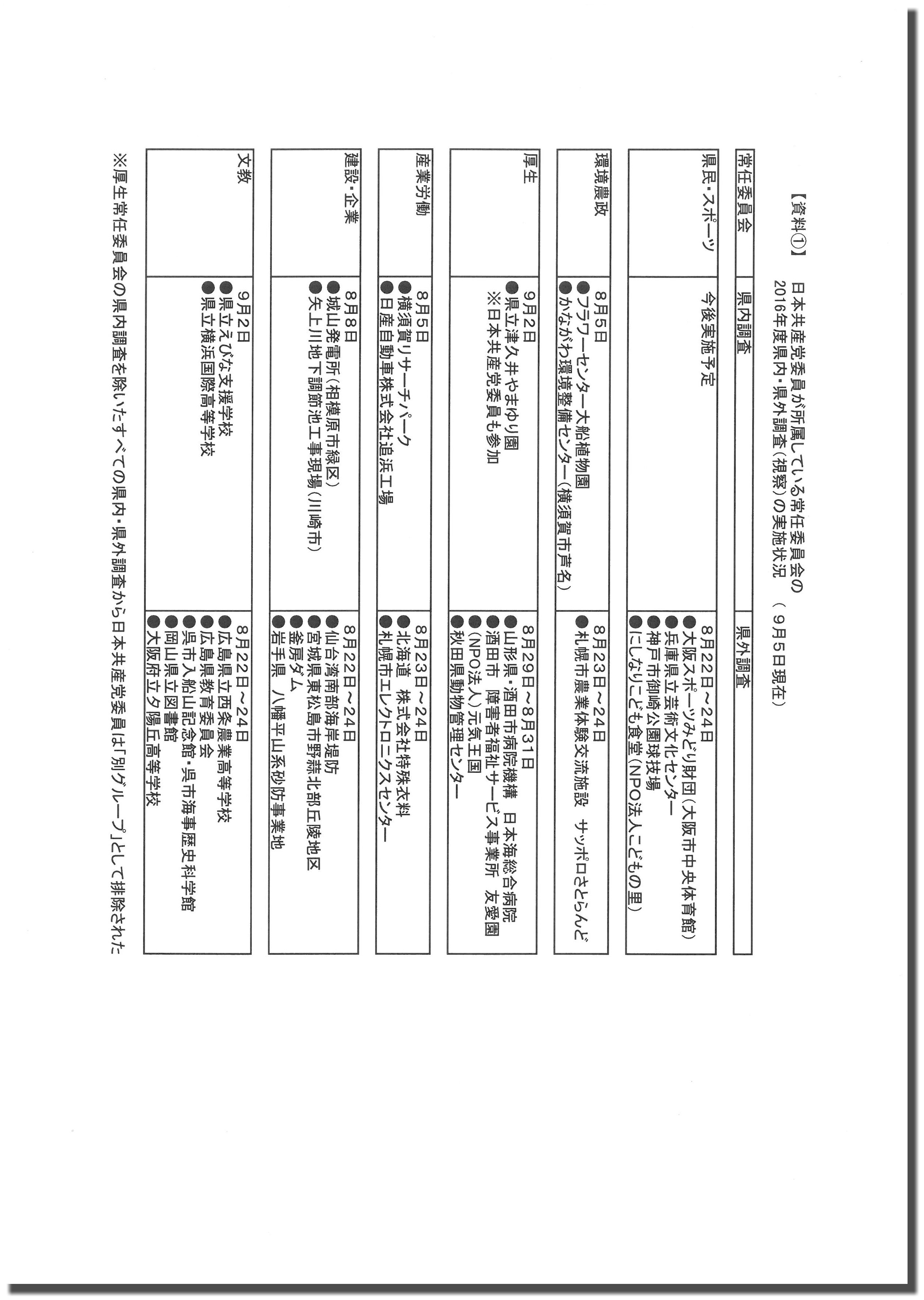 shisatsu-shiryo-kage